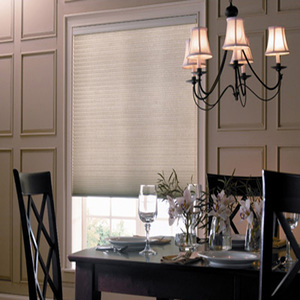 Vertical Blinds