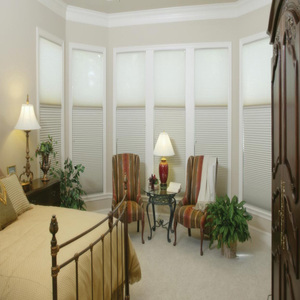 Bow Window Blinds