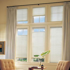 Living Room Drapes