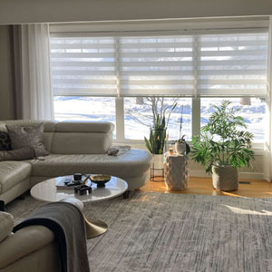 Living Room Blinds
