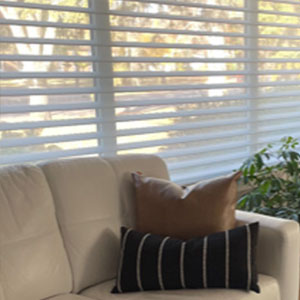 Living Room Sheer Blinds